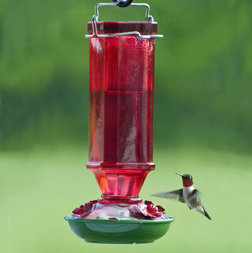 16 oz. Vintage Glass Hummingbird Feeder