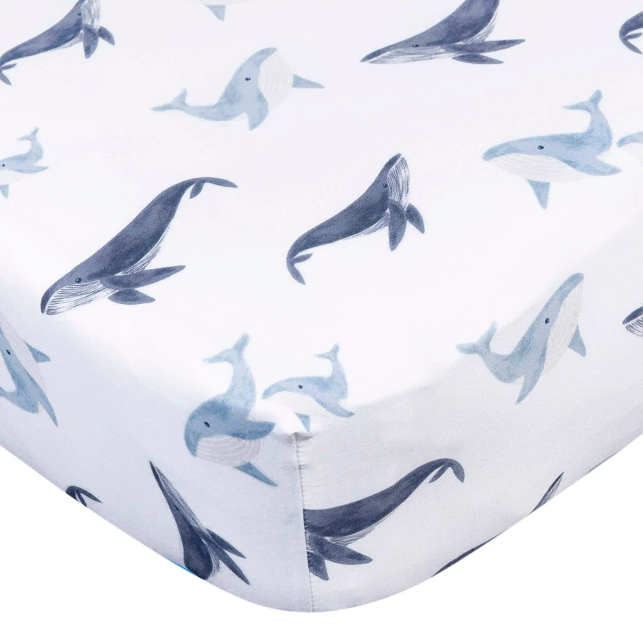 2-Pack Boys Coastal Calm Crib Sheets