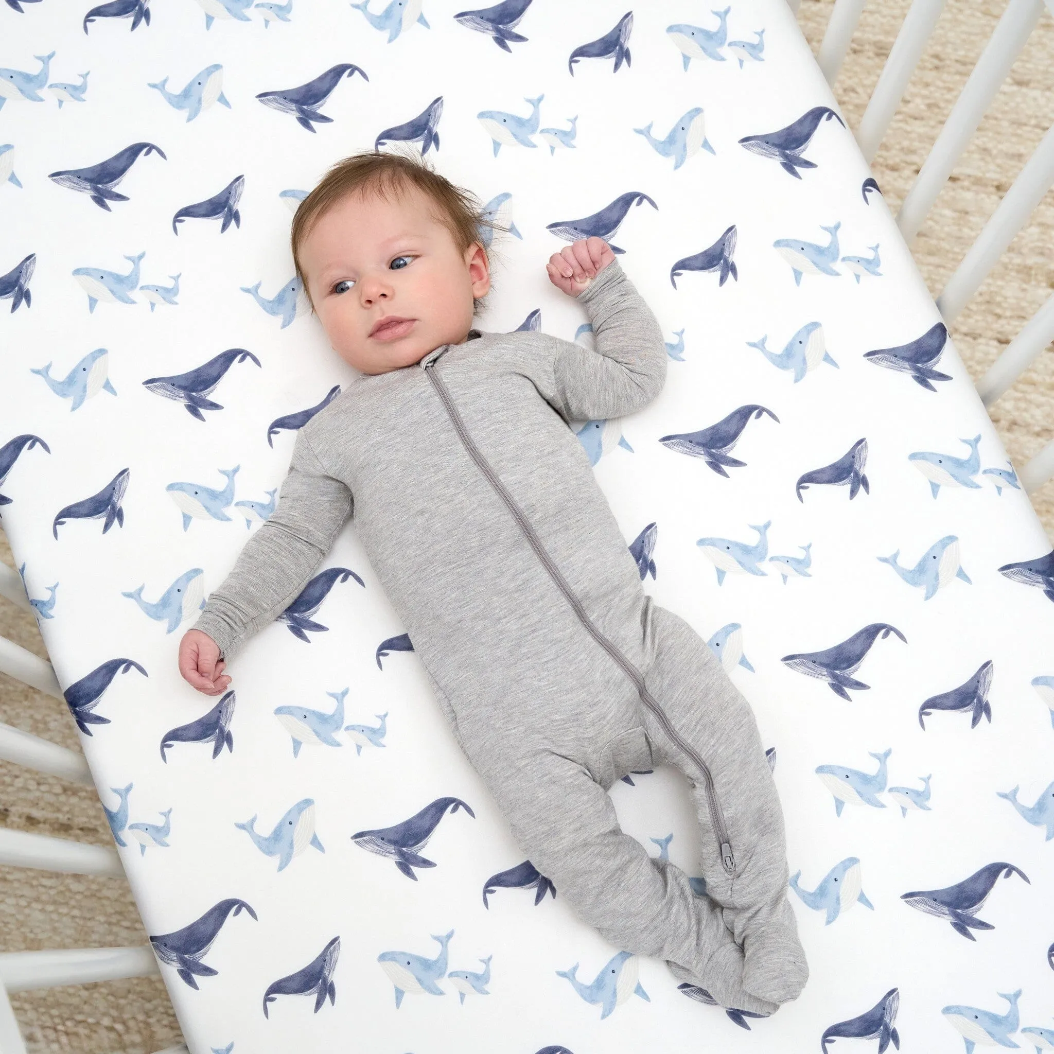 2-Pack Boys Coastal Calm Crib Sheets