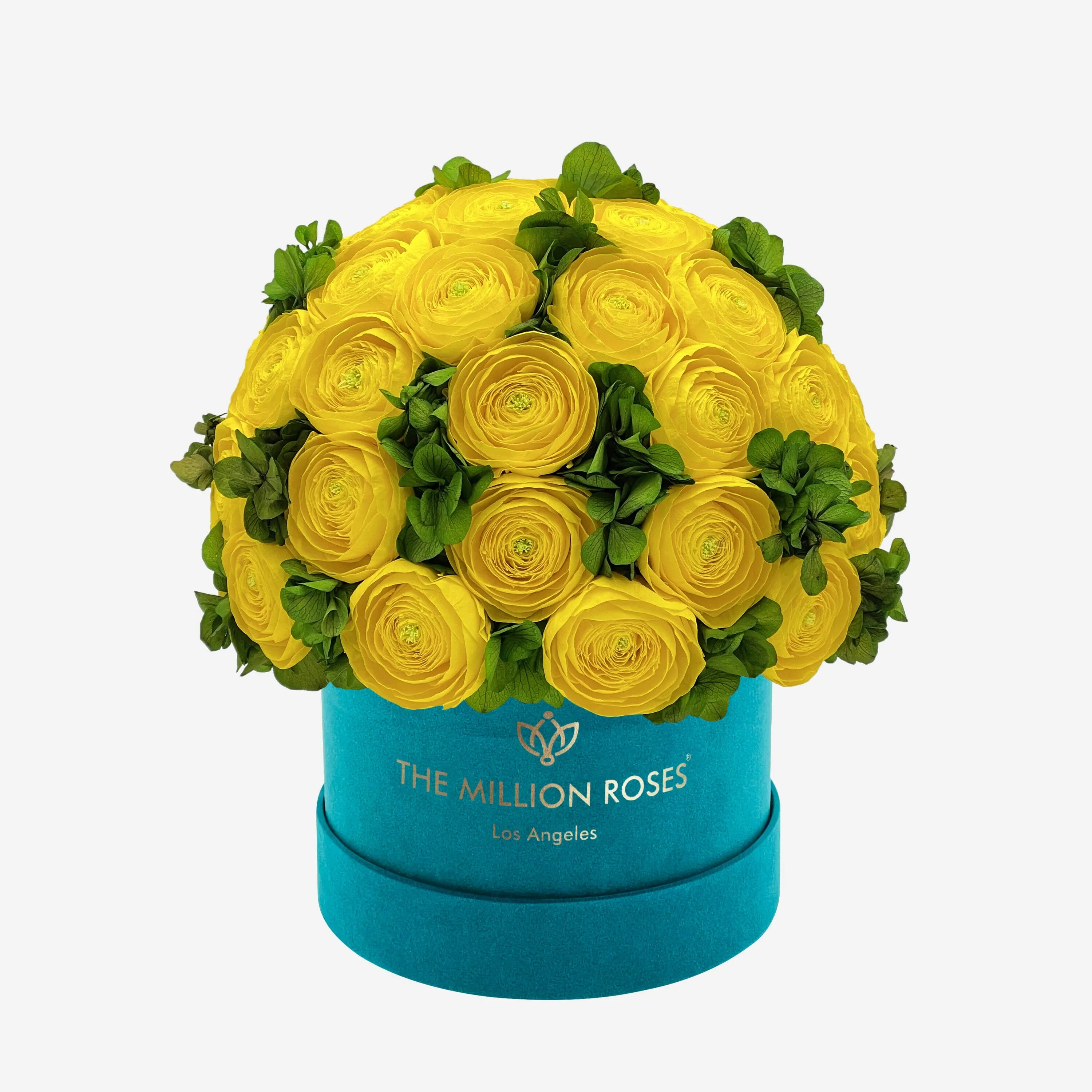 Classic Dark Green Suede Box | Yellow Persian Buttercups & Green Hydrangeas