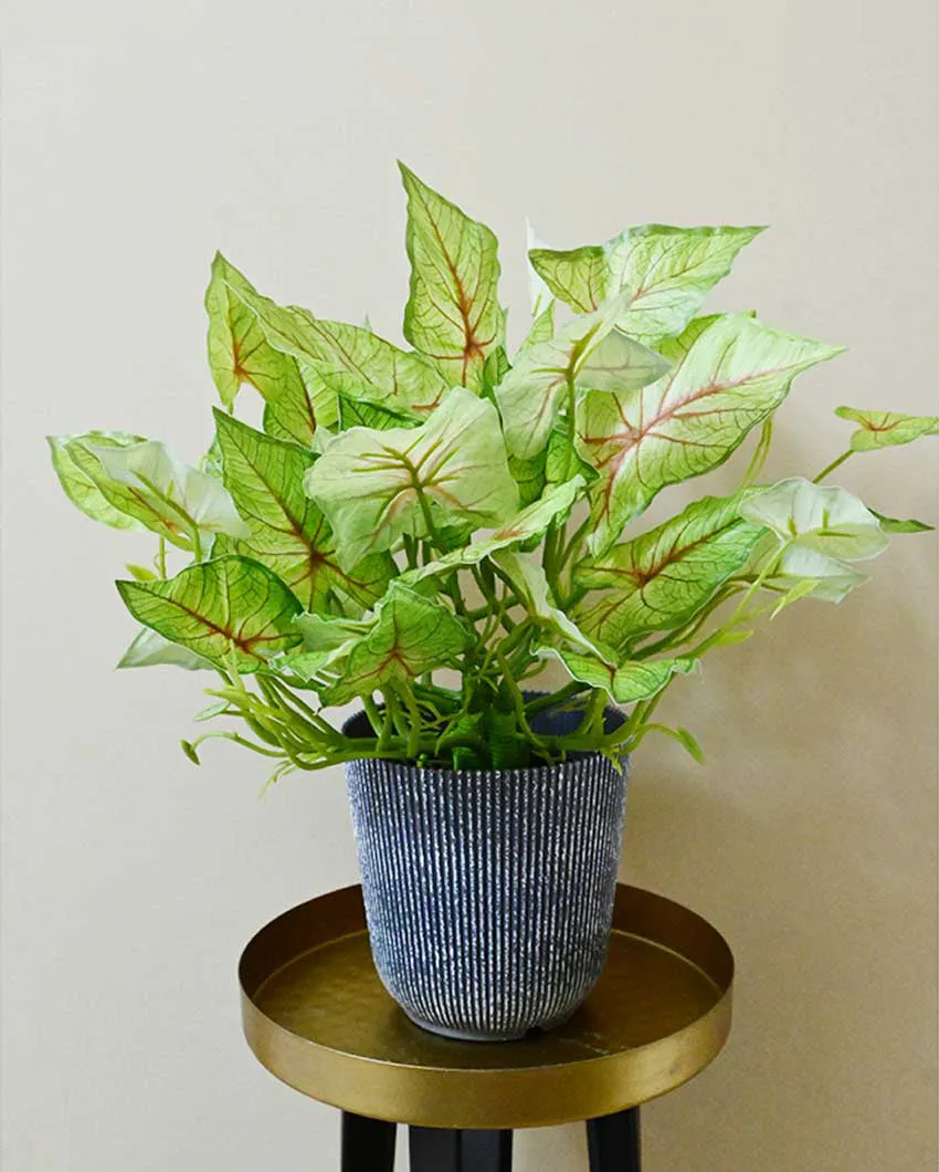 Decorative Artificial Caladium Plant with Basic Pot | 16 inches