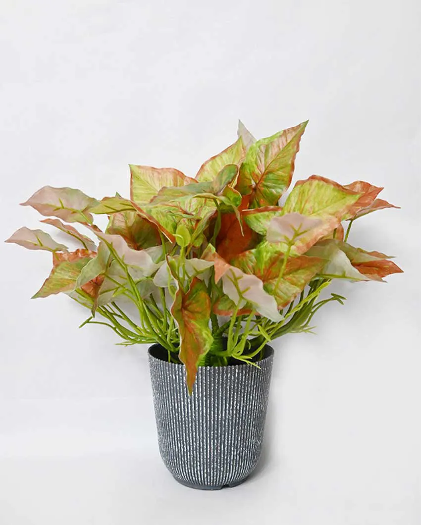 Decorative Artificial Caladium Plant with Basic Pot | 16 inches