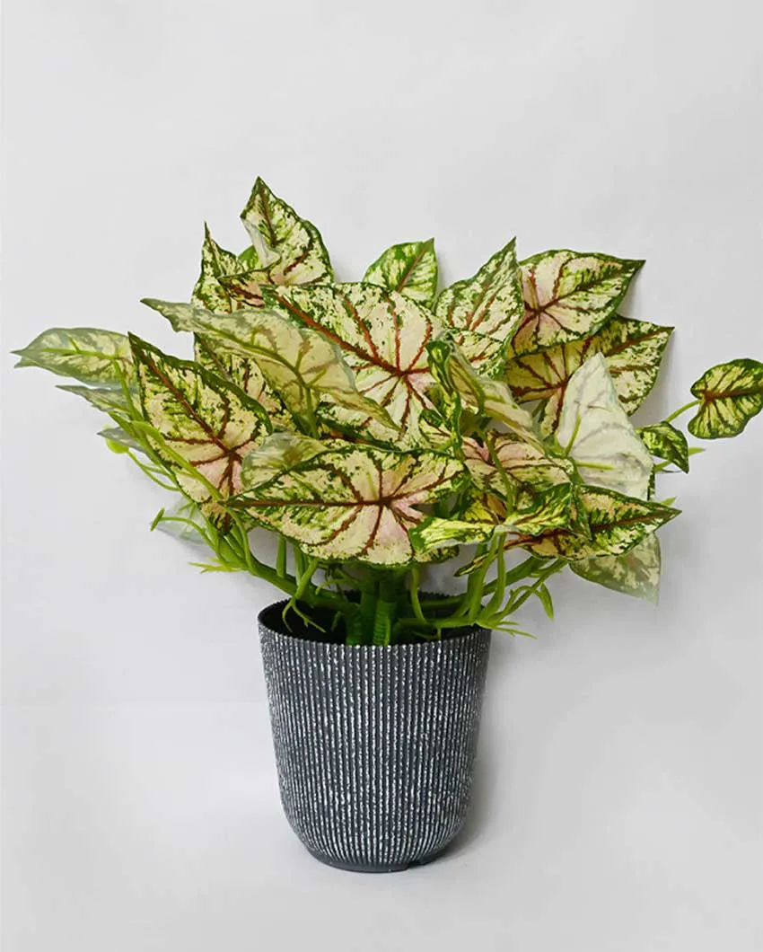 Decorative Artificial Caladium Plant with Basic Pot | 16 inches