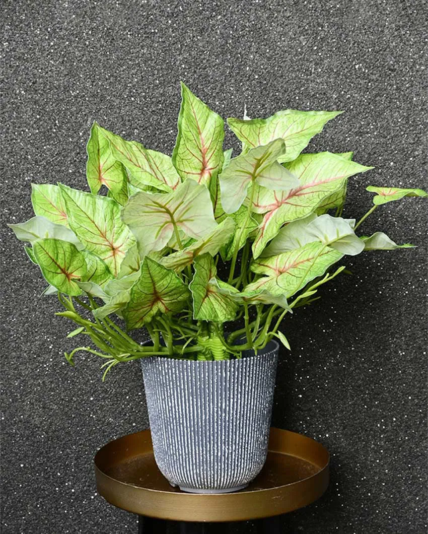 Decorative Artificial Caladium Plant with Basic Pot | 16 inches