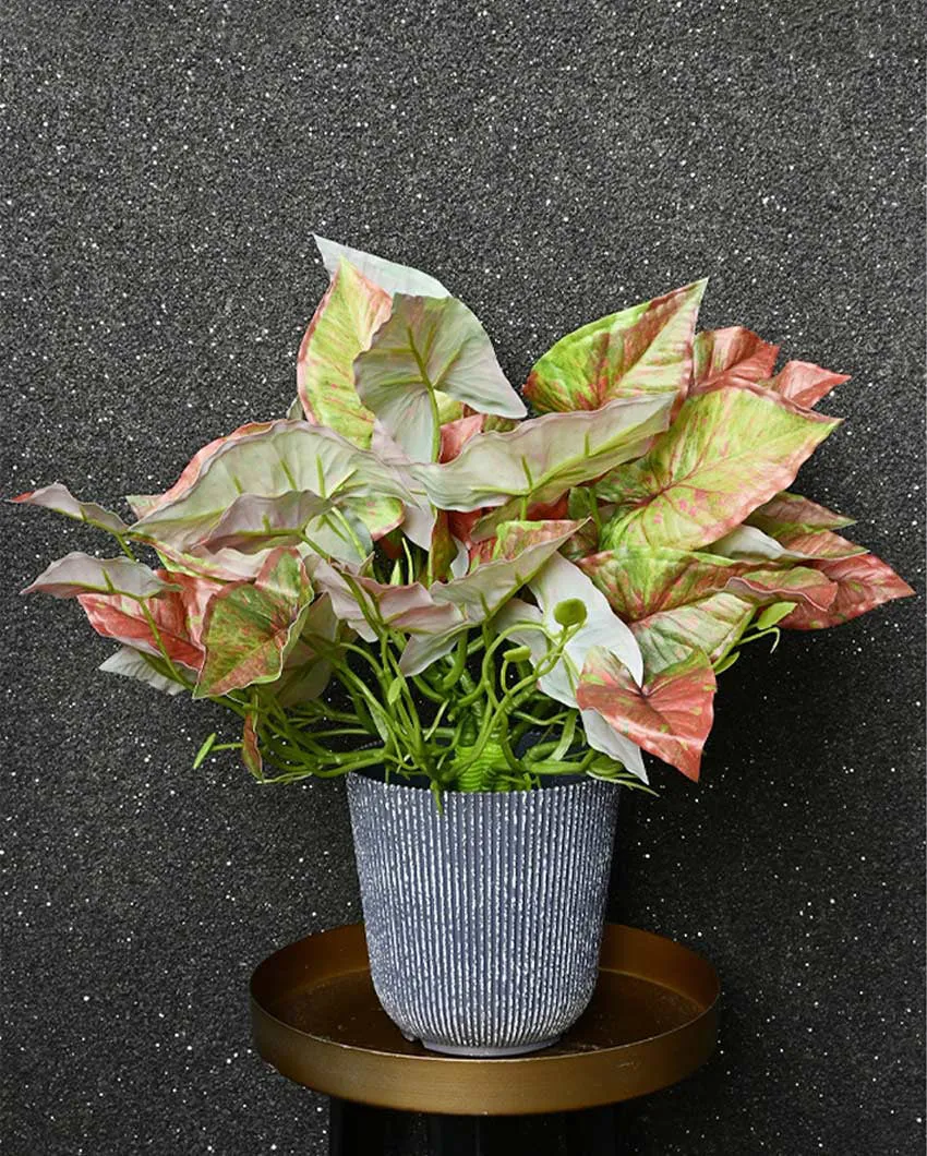 Decorative Artificial Caladium Plant with Basic Pot | 16 inches