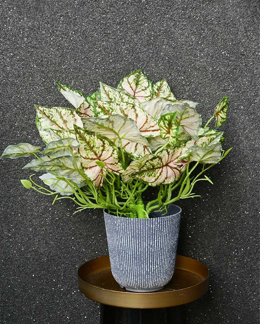 Decorative Artificial Caladium Plant with Basic Pot | 16 inches