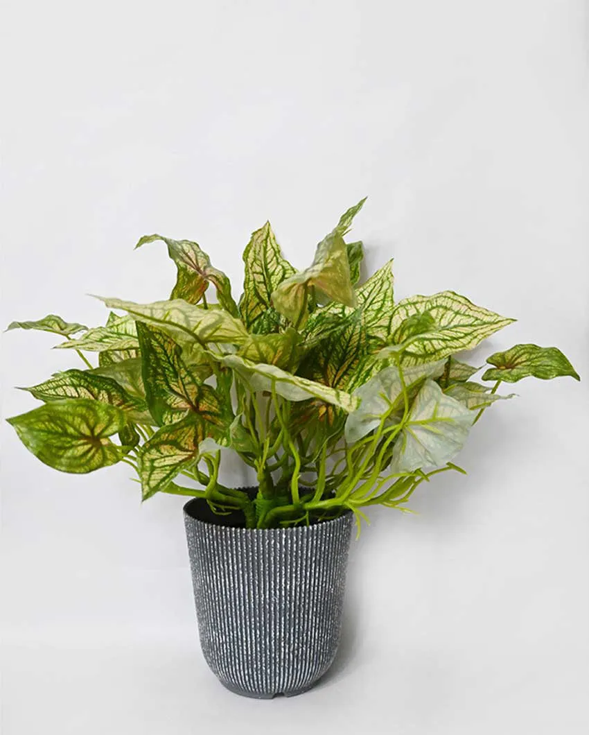 Decorative Artificial Caladium Plant with Basic Pot | 16 inches