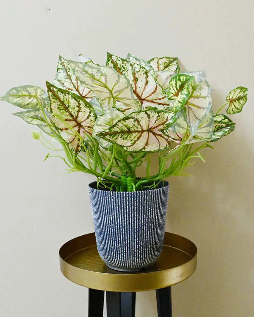 Decorative Artificial Caladium Plant with Basic Pot | 16 inches