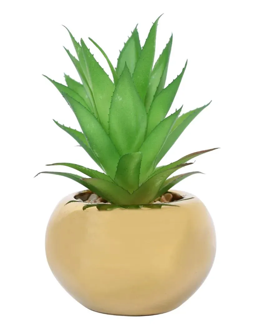 Nostalgic Succulents Artificial Plant with Ceramic Pot | 6 inches