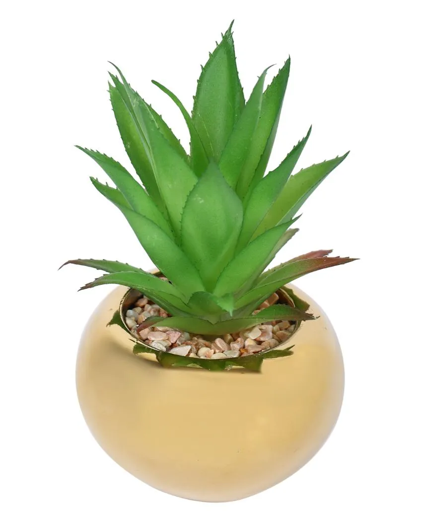 Nostalgic Succulents Artificial Plant with Ceramic Pot | 6 inches