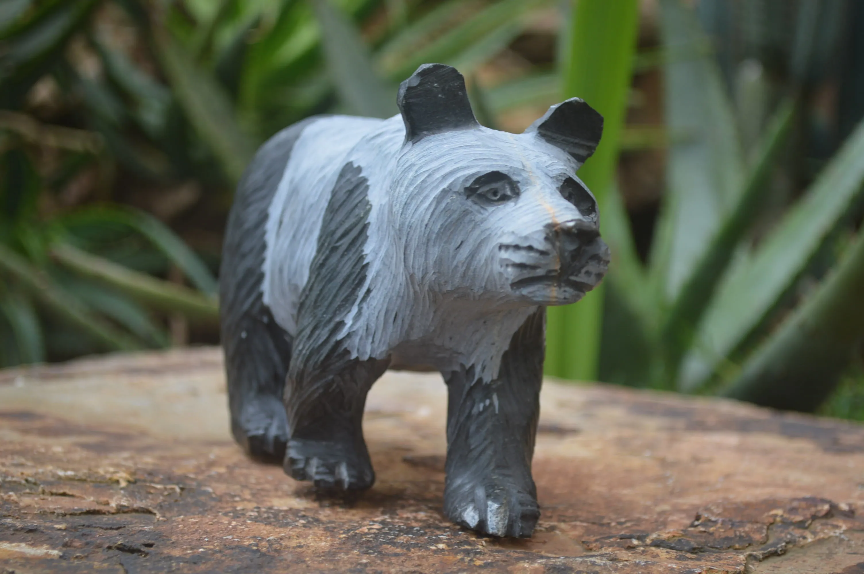 Polished Wonder Stone Panda Bear Carving x 1 From Zimbabwe