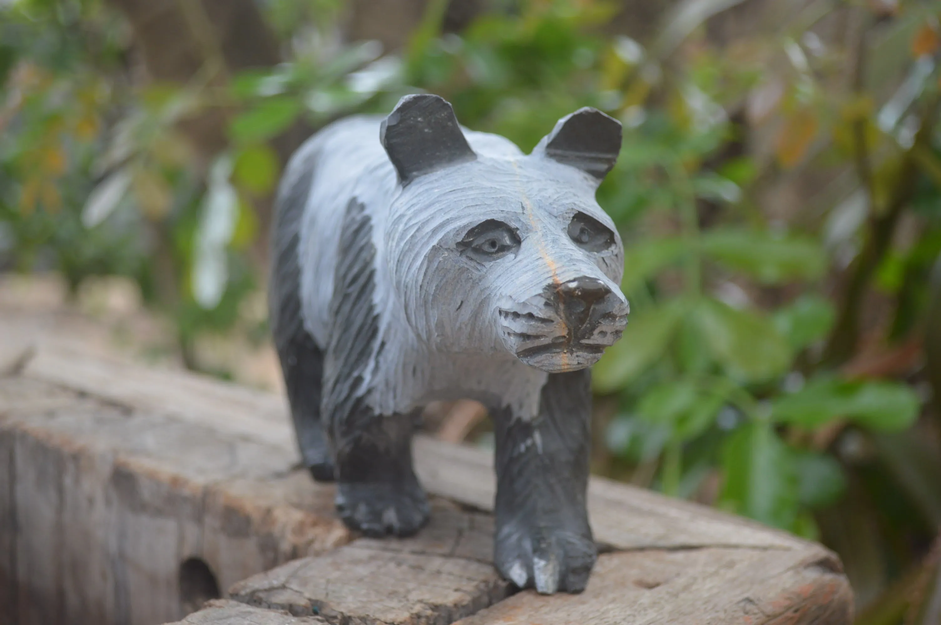 Polished Wonder Stone Panda Bear Carving x 1 From Zimbabwe