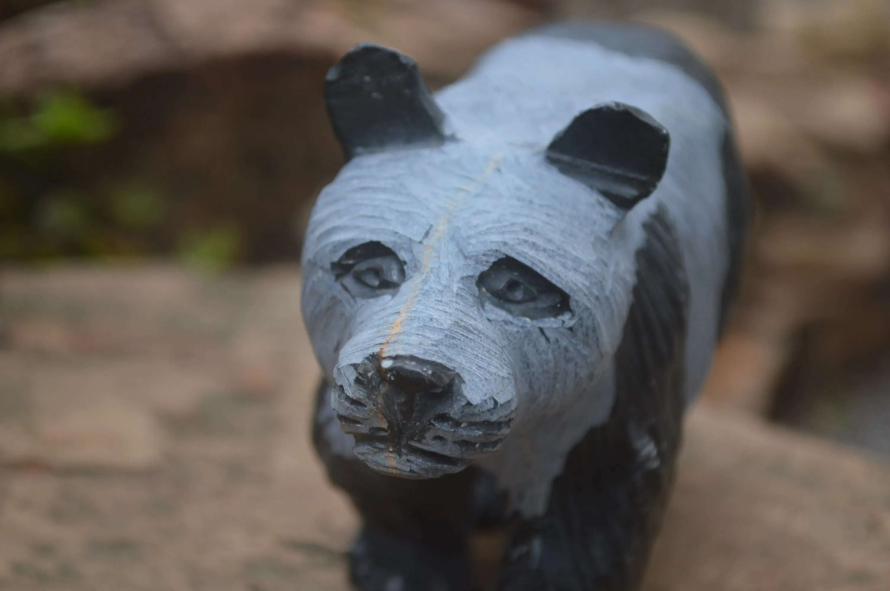 Polished Wonder Stone Panda Bear Carving x 1 From Zimbabwe