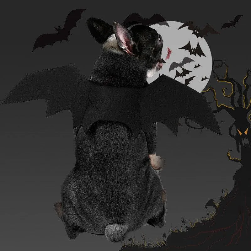 Shadow Wings Dog Costume by Dog Hugs Cat