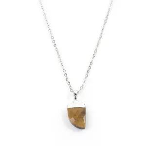 Tigers Eye Claw Necklace in White Gold